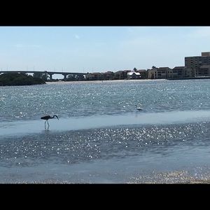 Meet your Posher, Tatum